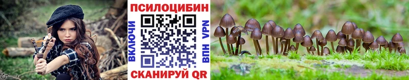 Псилоцибиновые грибы ЛСД  блэк спрут ссылка  Краснообск 
